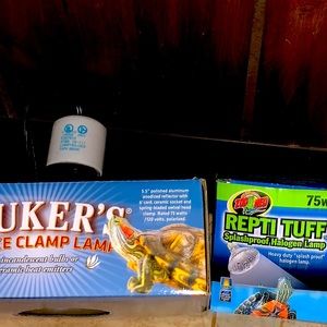 Reptile Clamp lamp +splashproof halogen lamp ( sold together )